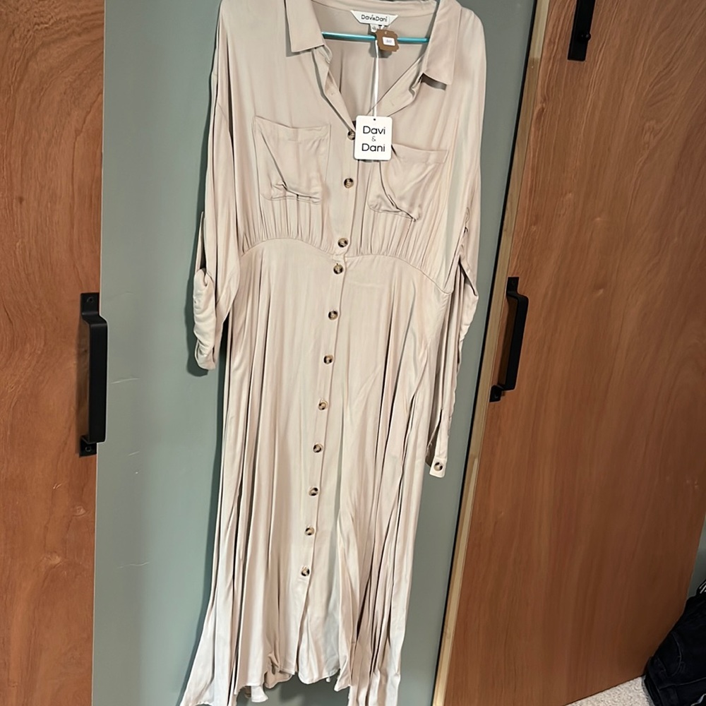 Davi & Dani dress size large. New